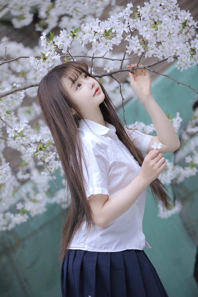 择天记 封面